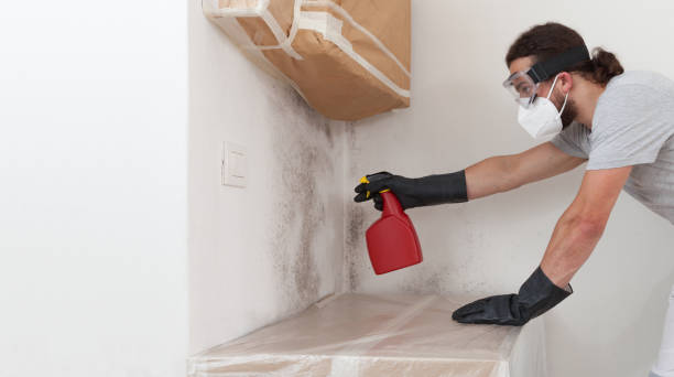 Professional Crawl Space Mold Removal technician working in Andover, MN
