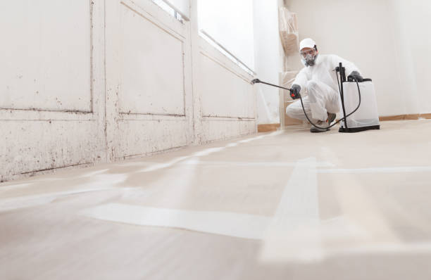 24/7 Emergency Crawl Space Mold Removal experts in Andover, MN